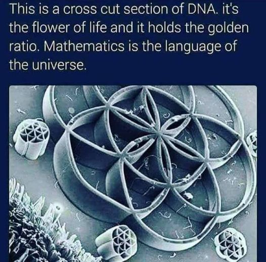 Sacred Geometry: DNA is the Flower of Life Flower-of-life